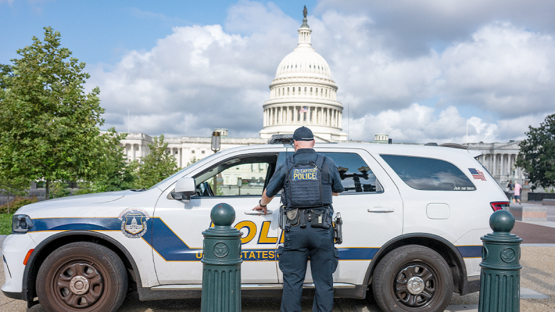 House Republicans are having early talks about cracking down on crime nationwide, the No. 2 GOP lawmaker suggested on Tuesday.
‘There are discussions about addressing some of these problems at a more federal level, but right now, we’re focused on D.C.,’ House Majority Leader Steve Scalise, R-La., told Fox News Digital.
‘The president’s been very effectively reducing crime in D.C., and he’s got some limitations right now with a lot of these ordinances, and that’s what we’re focused on cleaning up.’
He added, however, ‘But we’re not done.’
It comes after President Donald Trump federalized the Washington, D.C., police force and deployed federal troops to the capital city in a bid to end violent crime. He’s now eyeing National Guard deployments in other cities across the country, though the idea has been met with criticism by Democrats.
The House Oversight Committee is slated to advance several bills dealing with D.C. criminal sentencing this week, which will likely get full House votes in the coming months.
Scalise’s comments suggest that while lawmakers are currently focused on overhauling Washington, D.C.’s criminal policies, it’s possible they could turn to the rest of the country at some point as well.
Trump similarly signaled last month that he wanted to see a bill dealing with crime across the U.S.
‘Speaker Mike Johnson, and Leader John Thune, are working with me, and other Republicans, on a Comprehensive Crime Bill. It’s what our Country needs,’ he wrote on Truth Social.
House GOP leaders also railed against crime in Democrat-run cities and states during their weekly press briefing on Tuesday – specifically their leaders’ opposition to National Guard deployments.
Such moves by the federal government could risk court battles with Democrat-run states and cities, as was the case when Trump sent the National Guard into Los Angeles earlier this year over the objections of California Gov. Gavin Newsom.
‘I mean, these mayors in these big blue cities have to ask this question – and I think their voters and the residents and the law-abiding citizens in all these cities should be asking local leadership, ‘How long are you going to put up with this? When are you going to put your foot down and do the right thing?’’ Speaker Mike Johnson, R-La., posed.
‘This is common sense. And I cannot, for the life of me, understand how the Democrats think this is some sort of winning political message. Yield, man. Let the troops come into your city, and show how crime can be reduced.’
Scalise, meanwhile, said at the press conference that Democrats ‘want crime to continue.’
‘They want to continue defunding the police and try to have it both ways. And President Trump is tired of that game, because he’s tired of watching people be hurt. There’s no reason for this violent crime wave that we see in so many cities,’ Scalise said. 
‘So we’re going to continue to have the president’s back and, frankly, have the American people’s back, regardless of their party, regardless of what city they live in. Everybody deserves to be safe, and Republicans are going to continue to push policies to help put that in place.’
This post appeared first on FOX NEWS